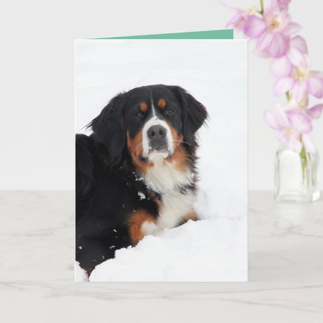 Anpassade Bernese Mountain Hund Kort (Orkide)