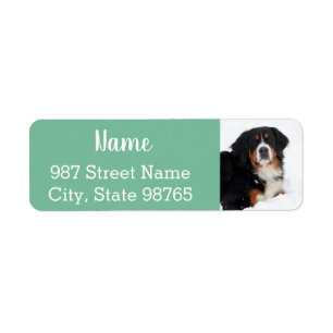 Anpassade Bernese Mountain Hund Returadress Etikett