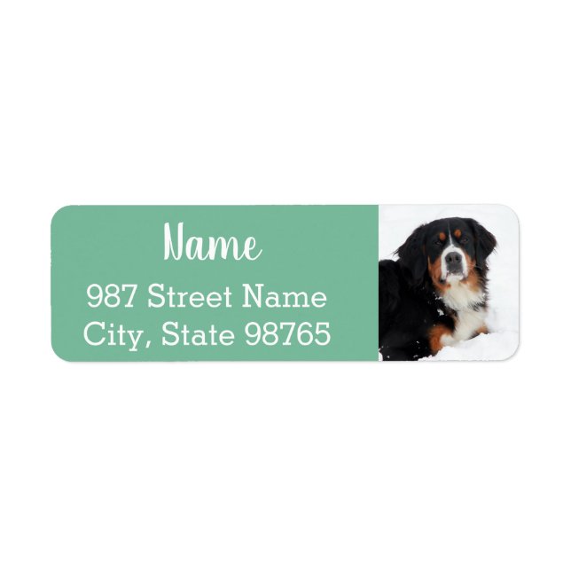 Anpassade Bernese Mountain Hund Returadress Etikett (Framsidan)