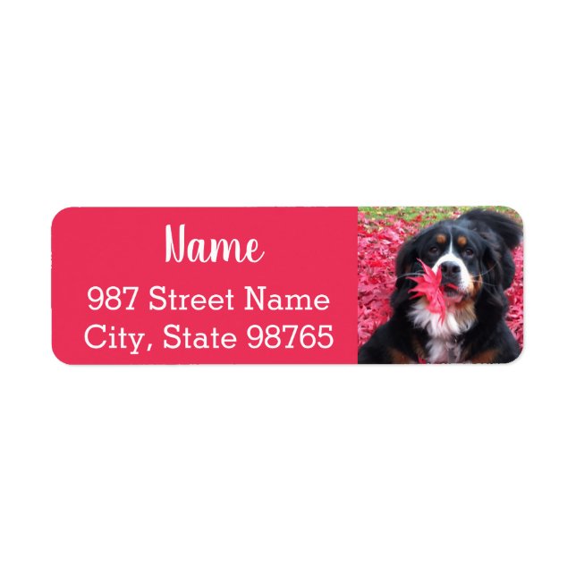 Anpassade Bernese Mountain Hund Returadress Etikett (Framsidan)