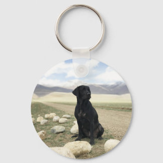 Anpassade Black Labrador Retriever Nyckelring