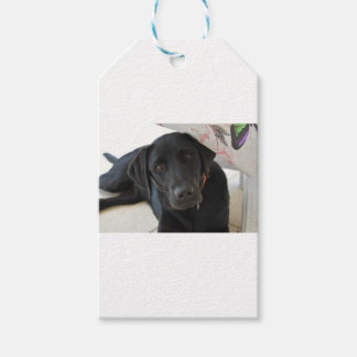 Anpassade Black Labrador Retriever Presentetikett