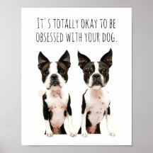 Anpassade Boston Terrier-Hund, poppgrafik fotoinlä