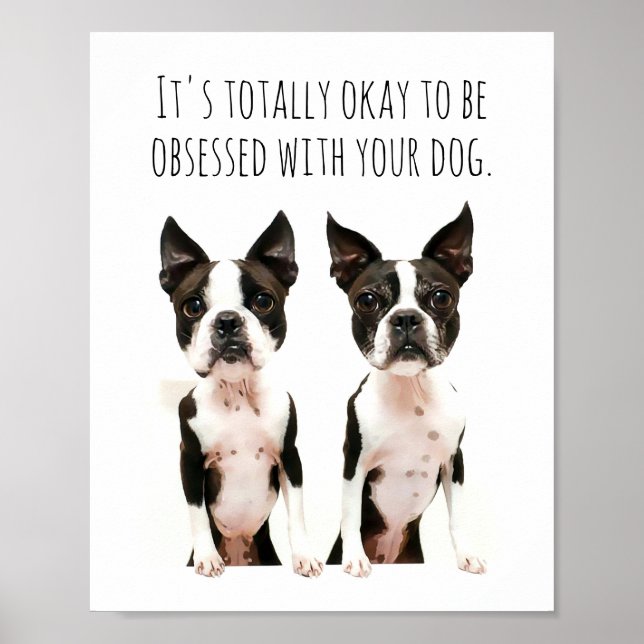 Anpassade Boston Terrier-Hund, poppgrafik fotoinlä Poster (Framsidan)