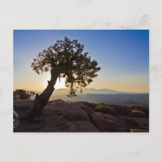 Anpassade: Canyonlands- & Dead Horse Point Card Vykort