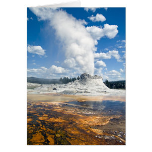 Anpassade Card - Castle Geyser Hälsningskort