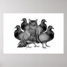 Anpassade Cat bland de Poster grisarna