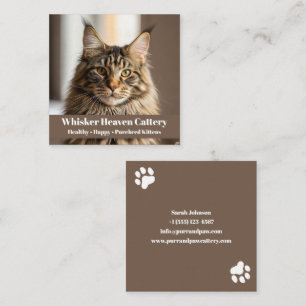 Anpassade Cattery Affärskort med Cat Photo Fyrkantigt Visitkort