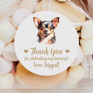 Anpassade Chihuahua-hundbröllopspresentetiketter Runt Klistermärke