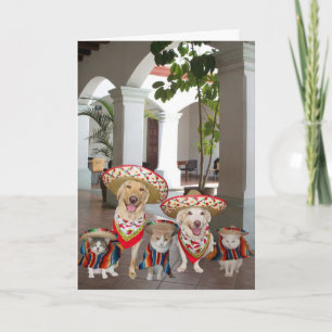 Anpassade Cinco de Mayo Kort