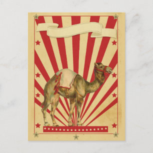 Anpassade Circus Vykort