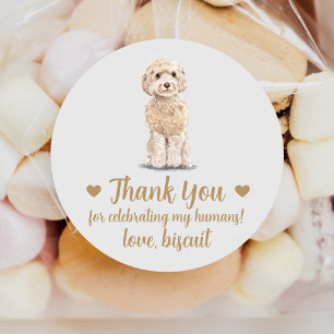 Anpassade Cockapoo Hund Bröllopspresent Sticker Runt Klistermärke