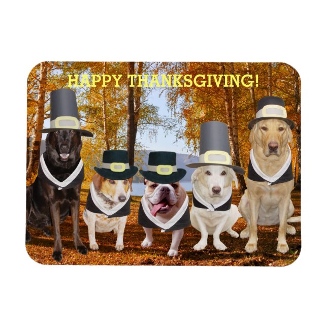 Anpassade Cute/Funny Dogs Thanksgiving Magnet (Horisontell)