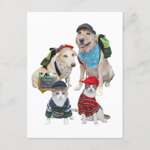 Anpassade Cute Pets Vykort