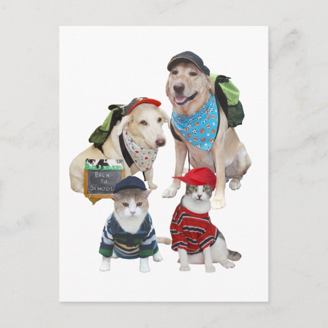 Anpassade Cute Pets Vykort (Framsida)