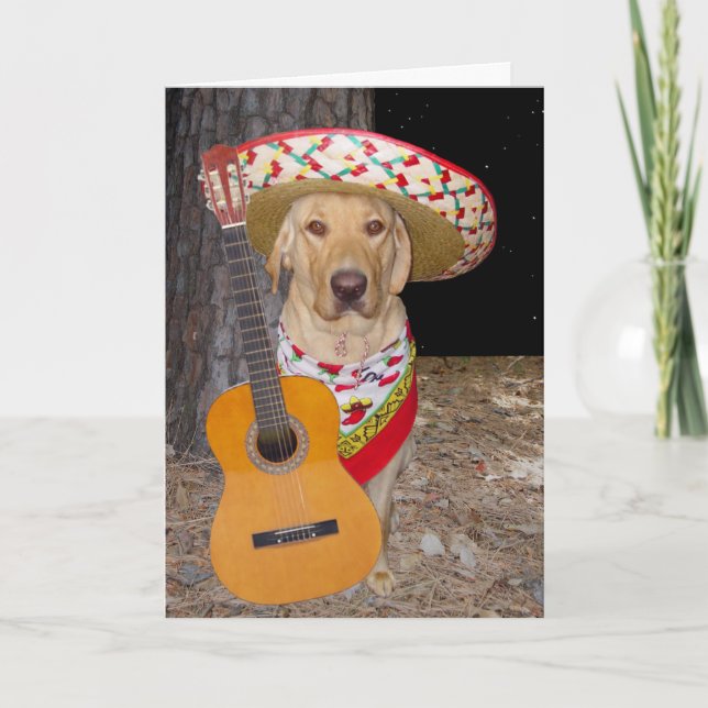Anpassade Cute Spain, Lab Valentine Helgkort (Framsida)