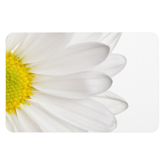 Anpassade Daisy för vit Daisy i bakgrunden Magnet (Horisontell)