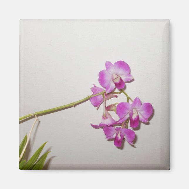 Anpassade Decorative Orchid Magnet (Framsidan)