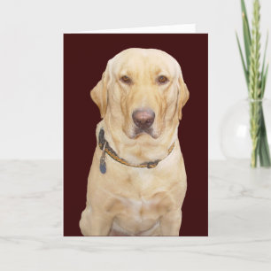 Anpassade Fars dag för Far/broder/Stepf Kort