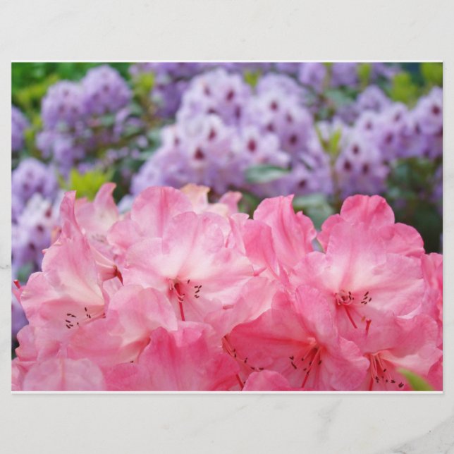 Anpassade Flyers skapar Rosa Rhodies Blommor (Framsidan)