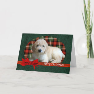 Anpassade för GoldenDoodle julhelgdag Helgkort