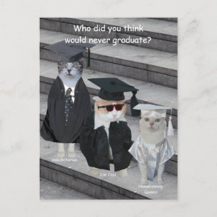 Anpassade Funny Cat/Kattunge Student Meddelande Vykort