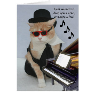 Anpassade Funny Cat OBS Kort
