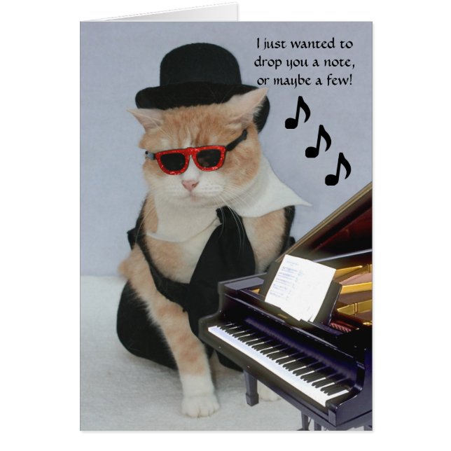 Anpassade Funny Cat OBS Kort (Framsidan)