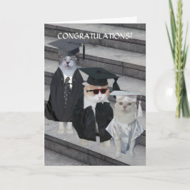 Anpassade Funny Cats/Kattunge Studenten-kort Kort