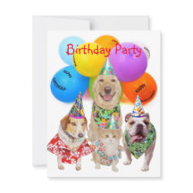 Anpassade Funny Dogs Kids Party Investigation