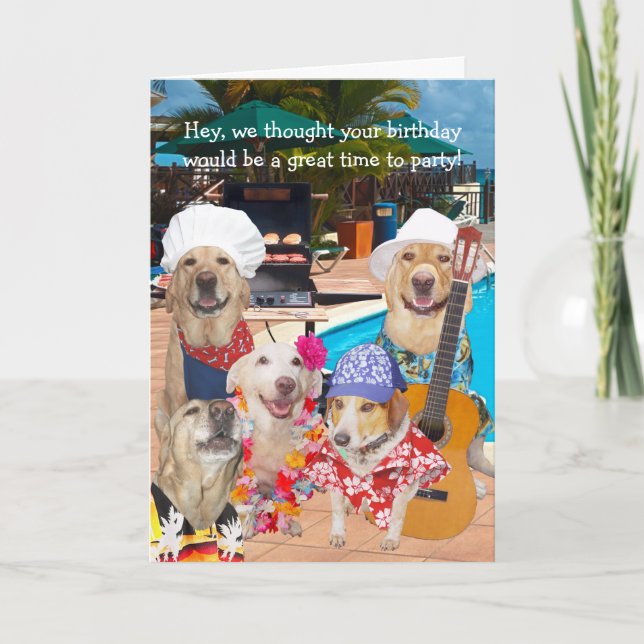 Anpassade Funny Dogs/Labs av Bassäng Birthday Tack Kort (Framsida)