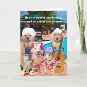 Anpassade Funny Dogs/Labs av Bassäng Birthday Tack Kort