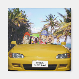 Anpassade Funny Hund i konvertibel Magnet