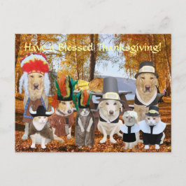 Anpassade Funny Pets Pilgrims och indianer Helg Vykort