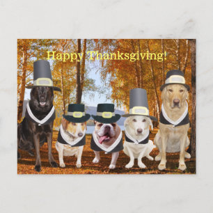 Anpassade Funny Pilgrim Hundar Thanksgiving Post Helg Vykort
