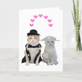 Anpassade funny, Söt Cats Valentine Helgkort