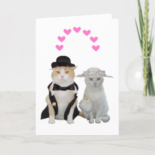 Anpassade funny, Söt Cats Valentine Helgkort