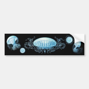 Anpassade Haeckel Jellyfish Bildekal