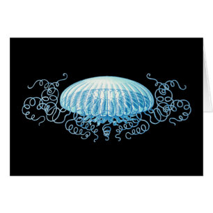 Anpassade Haeckel Jellyfish Hälsningskort