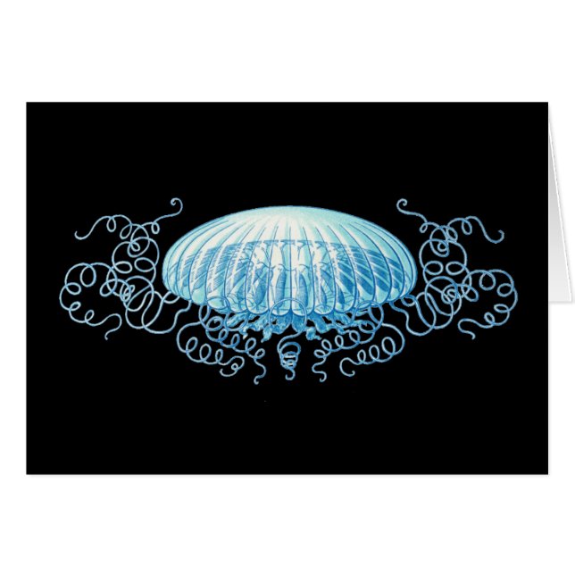 Anpassade Haeckel Jellyfish Hälsningskort (Framsidan Horizontal)