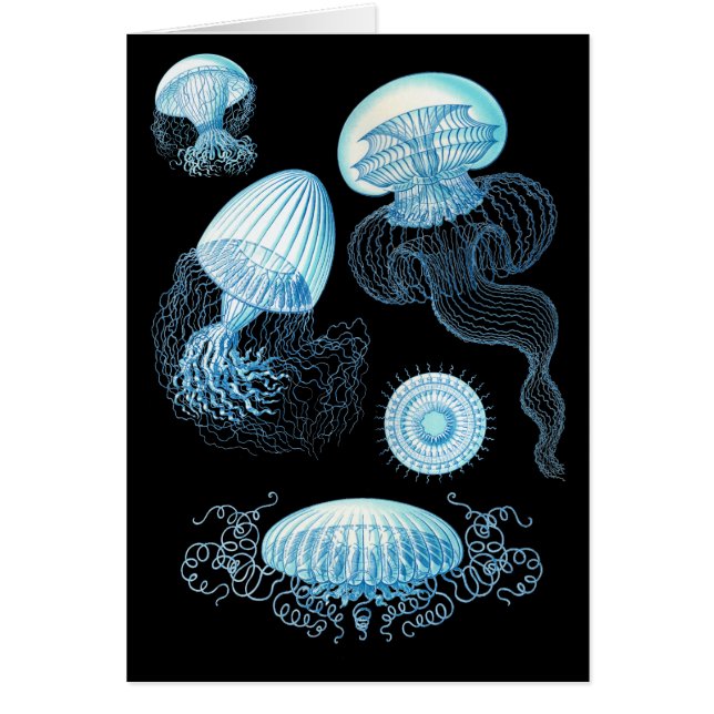 Anpassade Haeckel Jellyfish Hälsningskort (Framsidan)