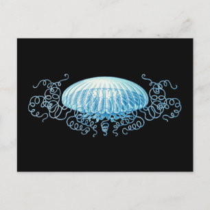 Anpassade Haeckel Jellyfish Vykort