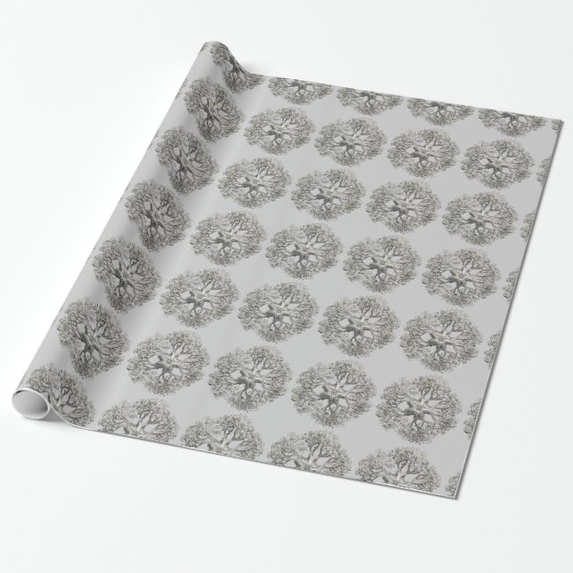 Anpassade Haeckel Presentpapper (Utrullad)