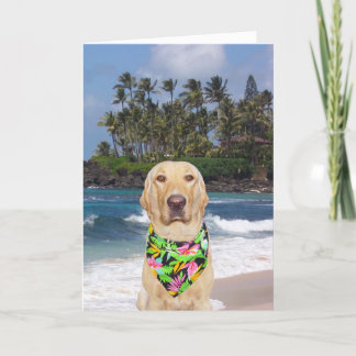 Anpassade Hawaiianska Gul lab födelsedag Kort