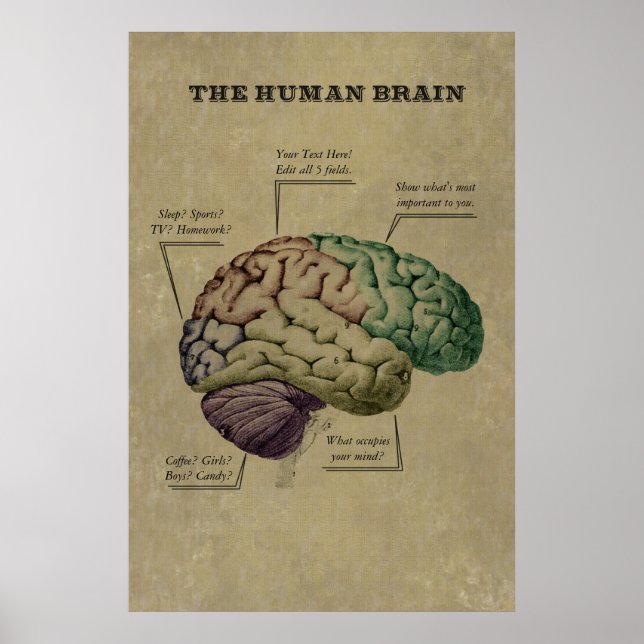 Anpassade Human Brain Poster, redigera de fem etik Poster (Framsidan)