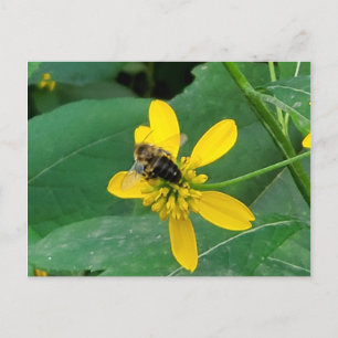 Anpassade Humlor på en Gul Blomma Postkort Vykort