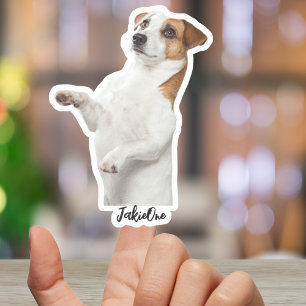 Anpassade husdjursdekaler – Hund & Katt Foto Vinyl Klistermärken