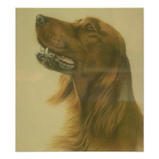 Anpassade Irish Setter Art Poster