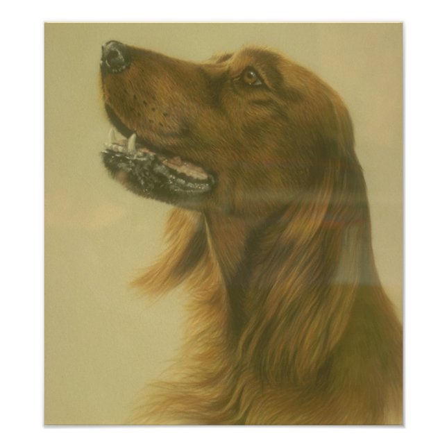 Anpassade Irish Setter Art Poster (Framsidan)
