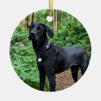 Anpassade Keramisk prydnadsföremål Julgransprydnad Keramik